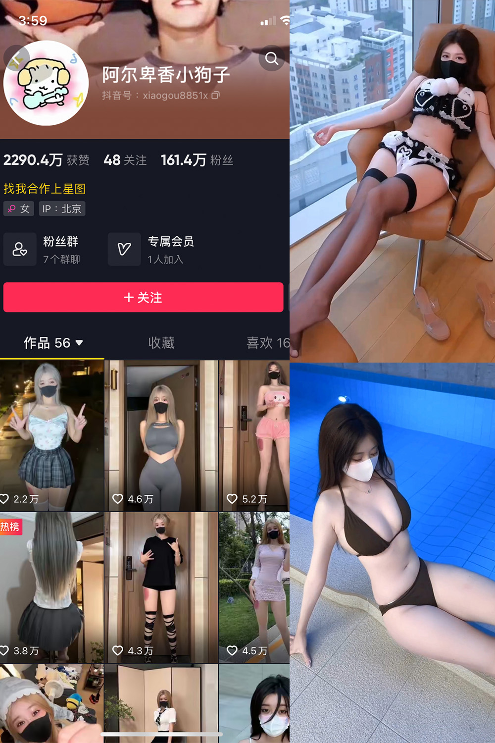 抖音 阿尔卑香小狗子 微密圈 | 觅圈 NO.062期