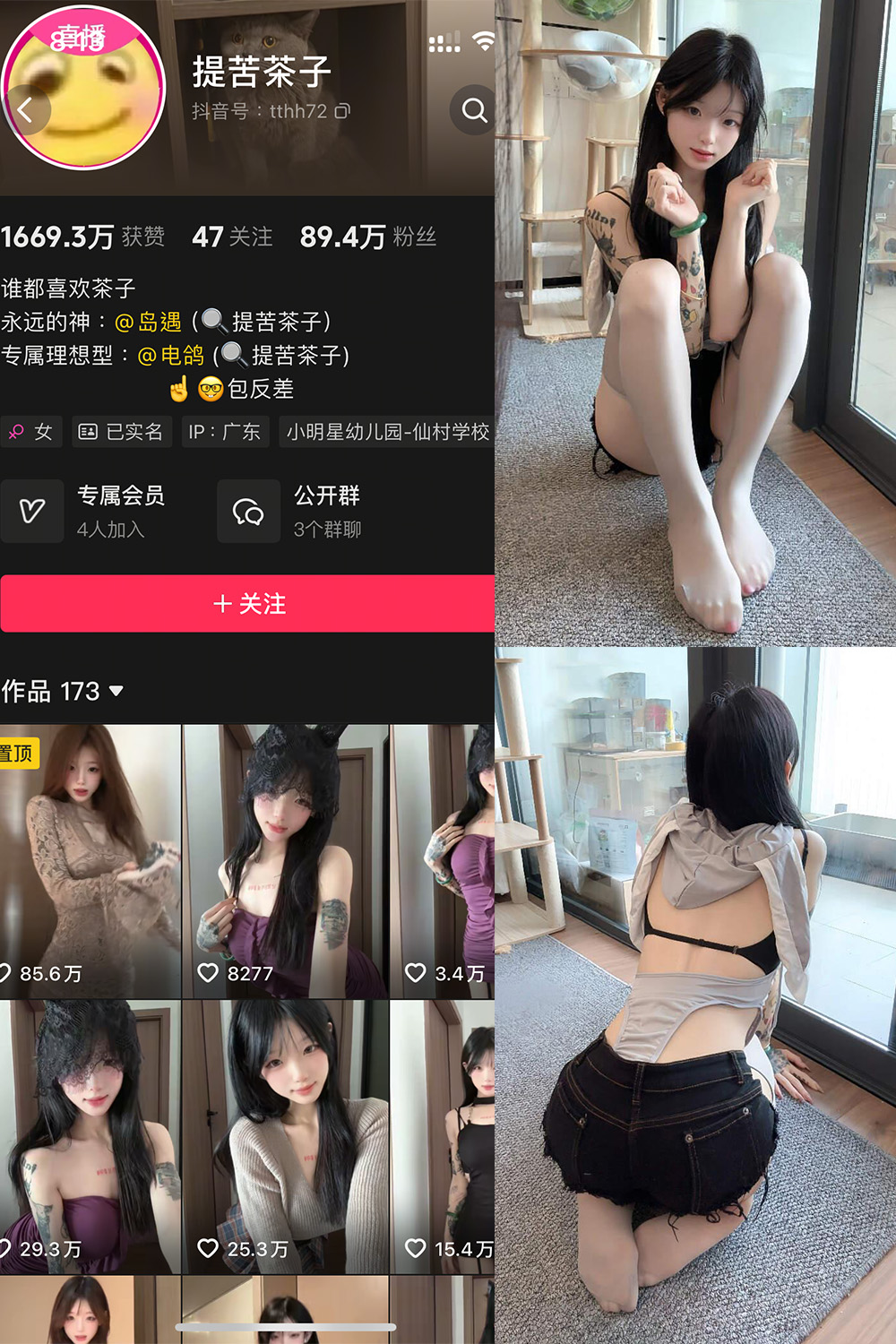 抖音 提苦茶子 岛遇 NO.004期