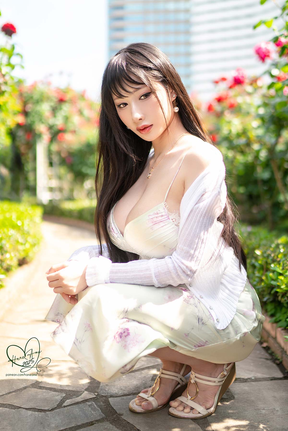 Hane Ame 雨波写真 – 玫瑰刚好绽放